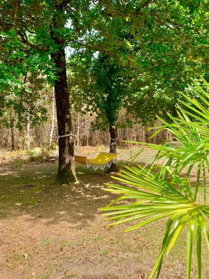 House De La Canopee, Swimming Pool, Lake, Forest, Large Garden And Wifi Уртен Екстериор снимка