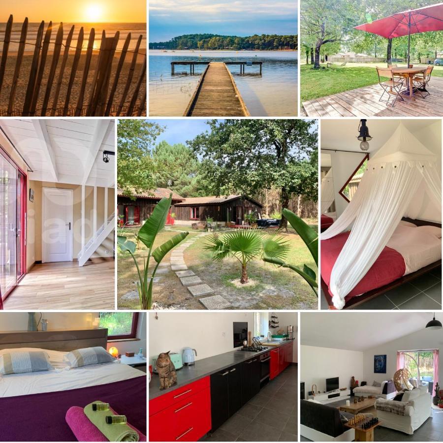 House De La Canopee, Swimming Pool, Lake, Forest, Large Garden And Wifi Уртен Екстериор снимка