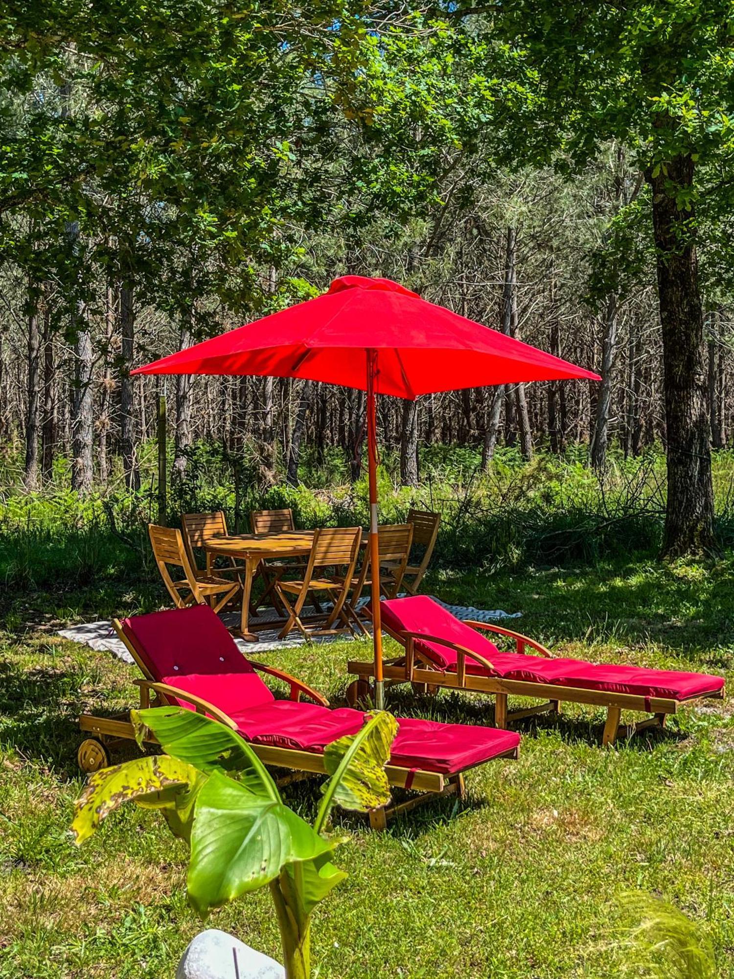 House De La Canopee, Swimming Pool, Lake, Forest, Large Garden And Wifi Уртен Екстериор снимка