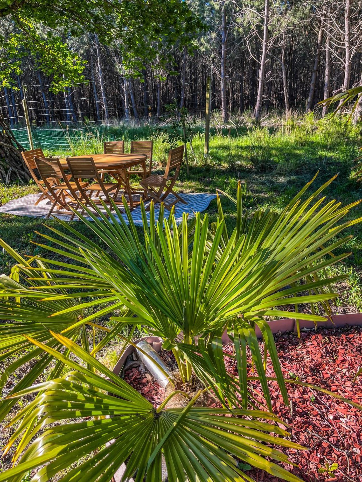 House De La Canopee, Swimming Pool, Lake, Forest, Large Garden And Wifi Уртен Екстериор снимка