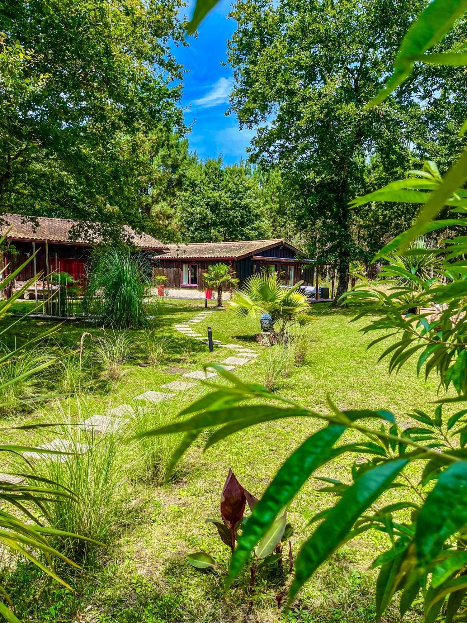 House De La Canopee, Swimming Pool, Lake, Forest, Large Garden And Wifi Уртен Екстериор снимка